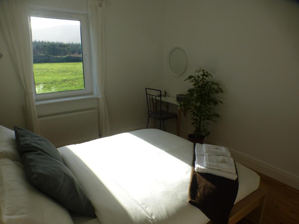 Seagull Cottage B&B Portmagee Eksteriør billede